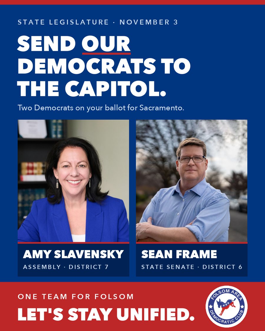 Send our Democrats to the Capitol